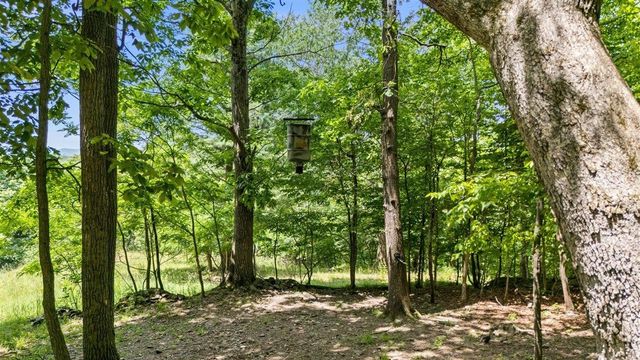 Lot 19, 20, 21 HIDDEN HILL RD, Stanley, VA 22851
