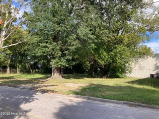 119 Pettigrew Street S, Wilson, NC 27893