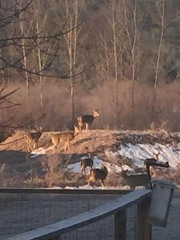 371 N Stiles Road, Ludington, MI 49431