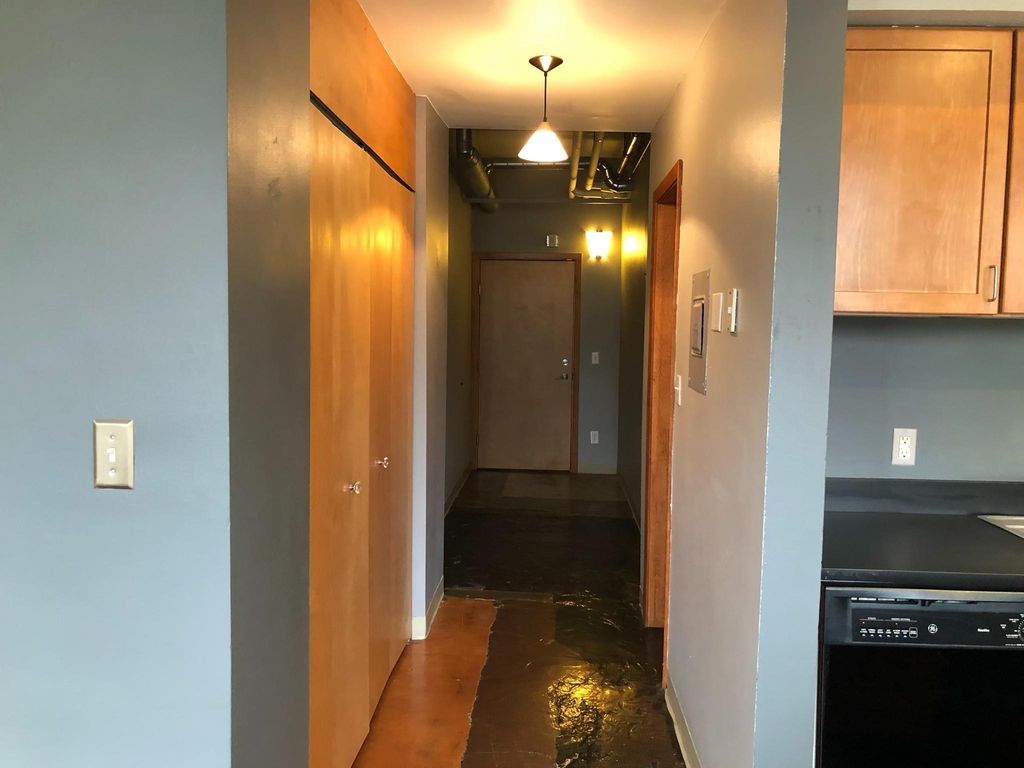 488 Wabasha Street N 201, Saint Paul, MN 55102 — photo 2