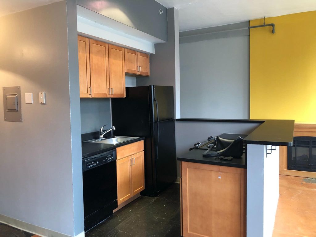 488 Wabasha Street N 201, Saint Paul, MN 55102 — photo 4