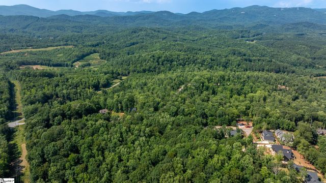 313 Laurel Valley Way, Travelers Rest, SC 29690