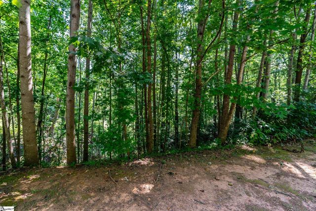 313 Laurel Valley Way, Travelers Rest, SC 29690