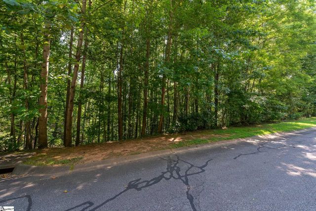 313 Laurel Valley Way, Travelers Rest, SC 29690