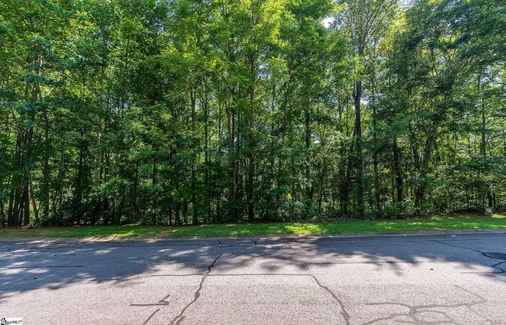 313 Laurel Valley Way, Travelers Rest, SC 29690