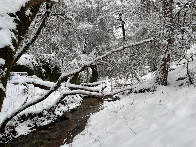 55110 Los Pinos Lane, Wishon, CA 93669