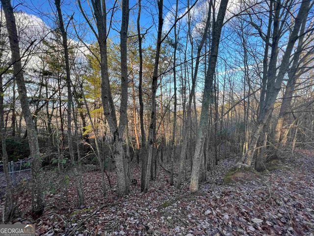 0 Daybreak Road, Cleveland, GA 30528