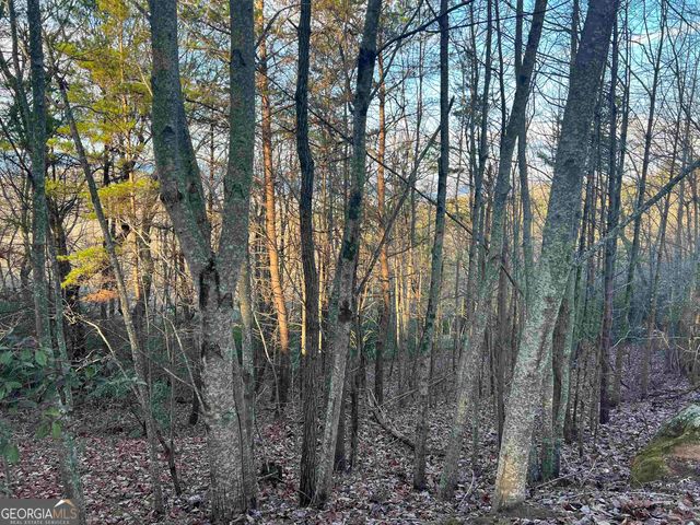 0 Daybreak Road, Cleveland, GA 30528