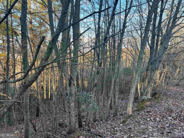 0 Daybreak Road, Cleveland, GA 30528