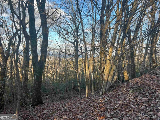 0 Daybreak Road, Cleveland, GA 30528