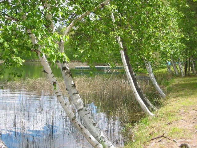 W8804 Deeper Lake Road, Minong, WI 54859