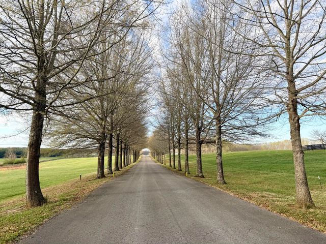 541 Beacon Street, Russell Springs, KY 42642