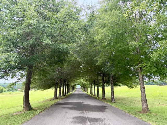 541 Beacon Street, Russell Springs, KY 42642