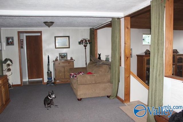 132 Winston Drive, Valley Head, AL 35989