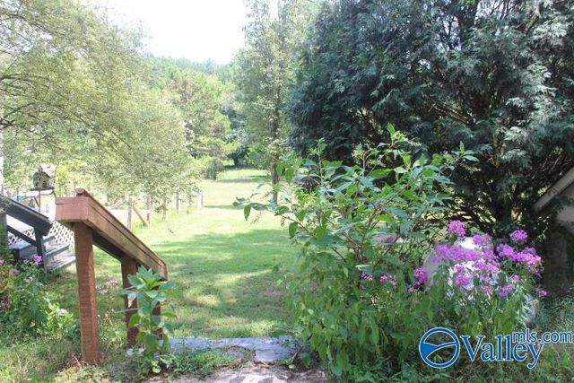 132 Winston Drive, Valley Head, AL 35989