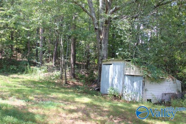 132 Winston Drive, Valley Head, AL 35989