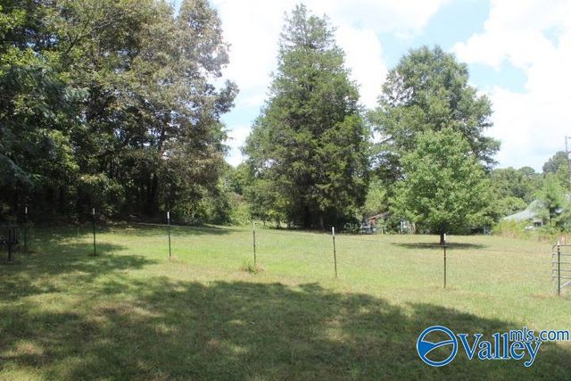 132 Winston Drive, Valley Head, AL 35989
