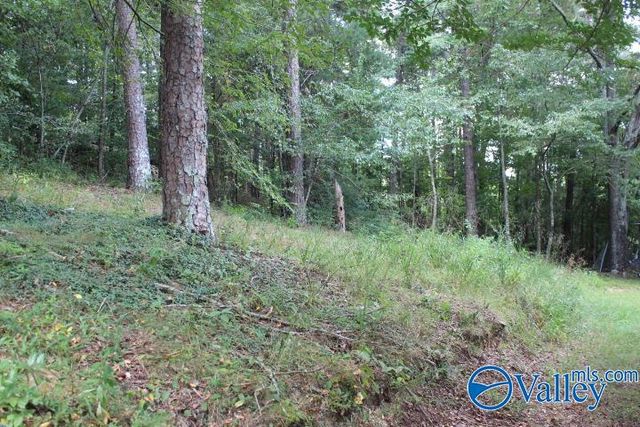 132 Winston Drive, Valley Head, AL 35989