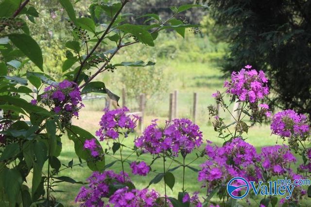 132 Winston Drive, Valley Head, AL 35989