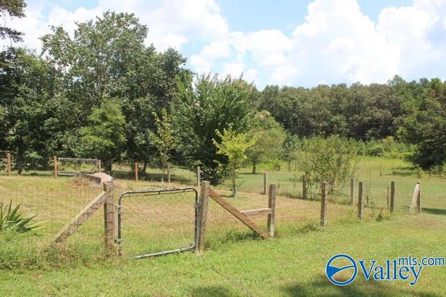 132 Winston Drive, Valley Head, AL 35989