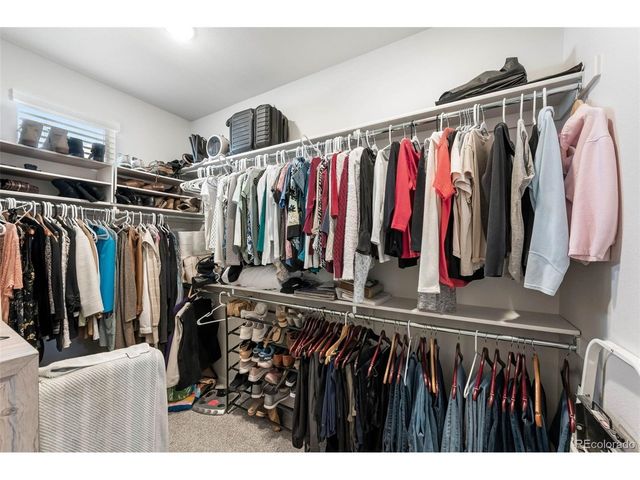 2078 Autumn Moon Dr 3, Windsor, CO 80550