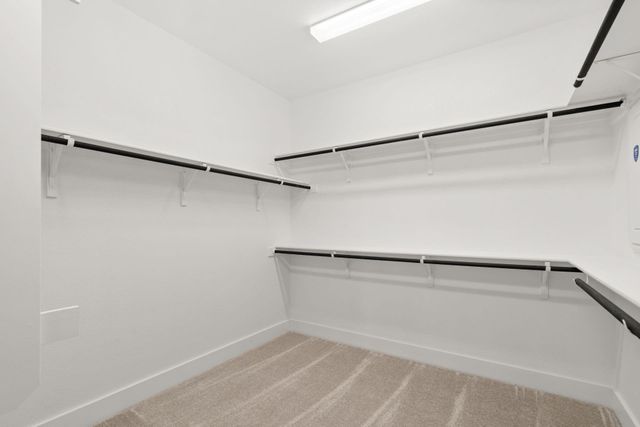 1216 Blanket Flower DR, Georgetown, TX 78628