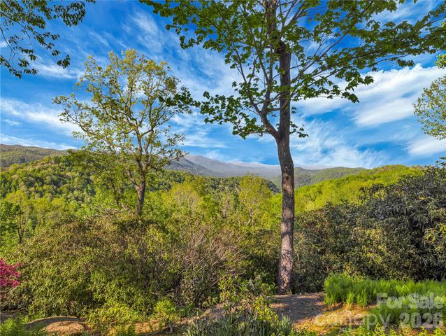 405 Glen Echo Circle, Saluda, NC 28773