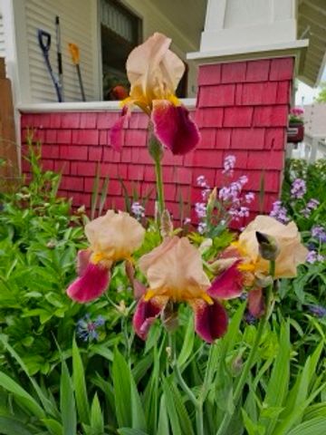 802 5th Avenue S, Lewistown, MT 59457