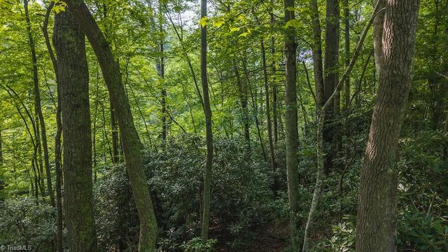 TBD Brushy Mountain Road, Moravian Falls, NC 28654