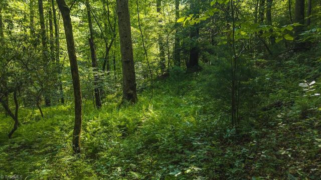 TBD Brushy Mountain Road, Moravian Falls, NC 28654