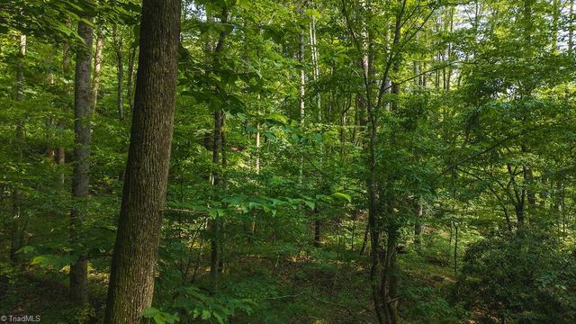 TBD Brushy Mountain Road, Moravian Falls, NC 28654