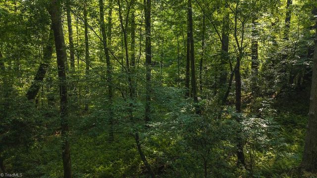 TBD Brushy Mountain Road, Moravian Falls, NC 28654