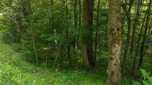 TBD Brushy Mountain Road, Moravian Falls, NC 28654