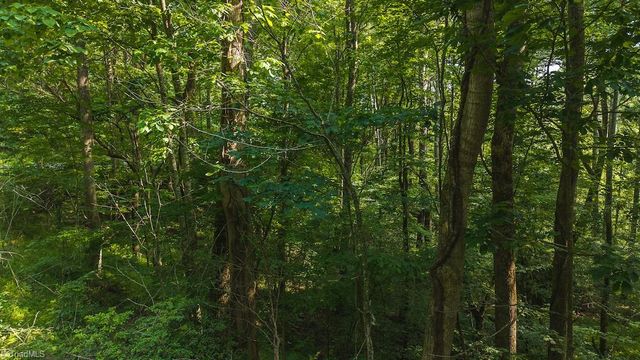 TBD Brushy Mountain Road, Moravian Falls, NC 28654