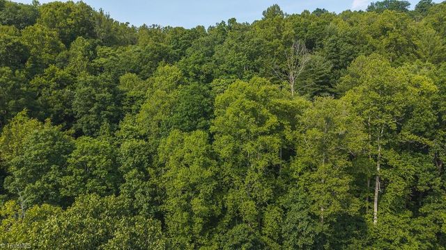 TBD Brushy Mountain Road, Moravian Falls, NC 28654