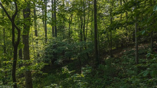 TBD Brushy Mountain Road, Moravian Falls, NC 28654