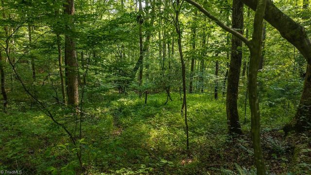 TBD Brushy Mountain Road, Moravian Falls, NC 28654