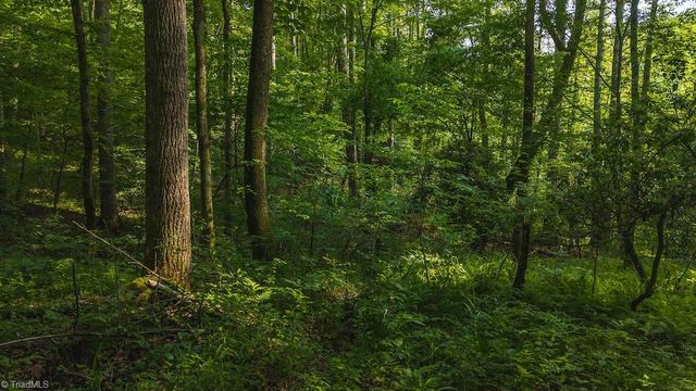 TBD Brushy Mountain Road, Moravian Falls, NC 28654