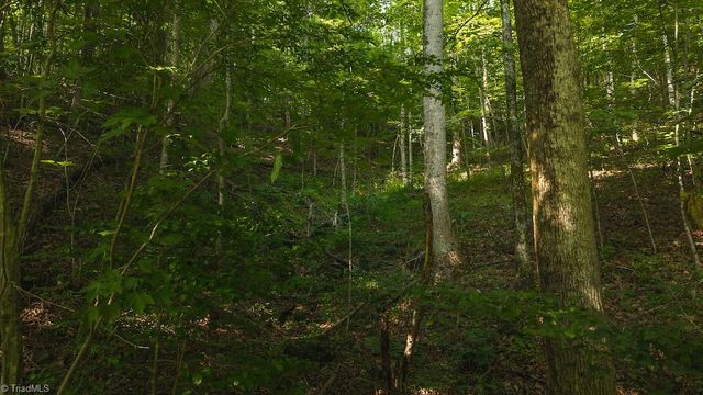 TBD Brushy Mountain Road, Moravian Falls, NC 28654