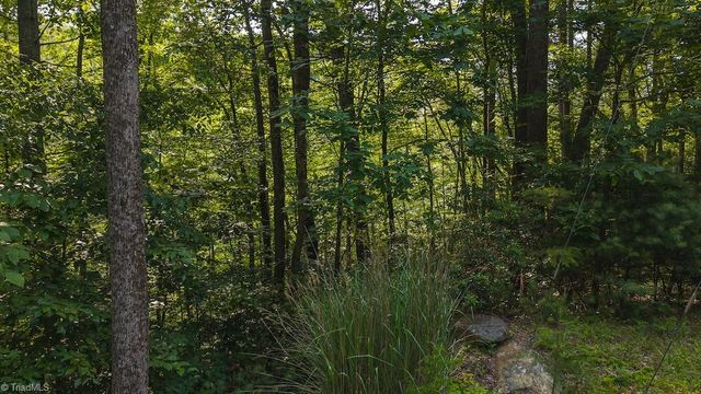 TBD Brushy Mountain Road, Moravian Falls, NC 28654