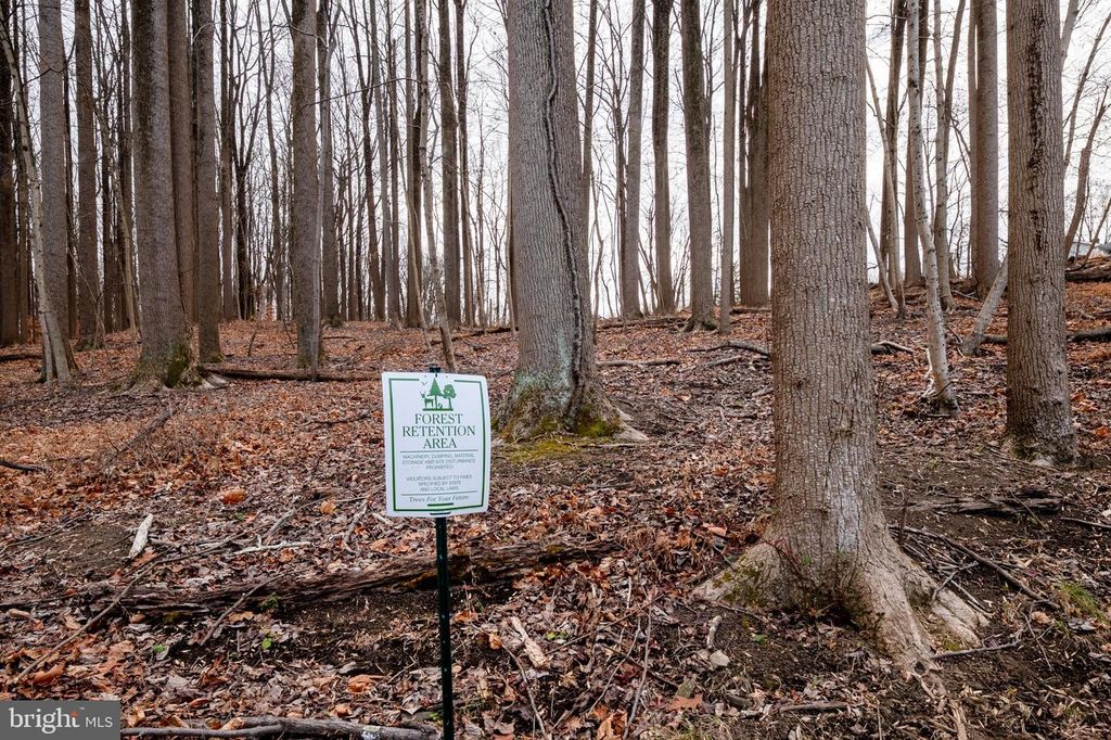 Image 59 of property listing at 4496 ILCHESTER RD, Ellicott City, MD 21043