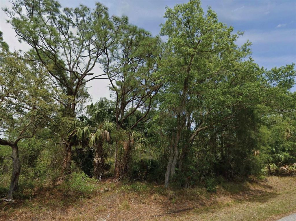 23280 WICKER AVENUE, Punta Gorda, FL 33980