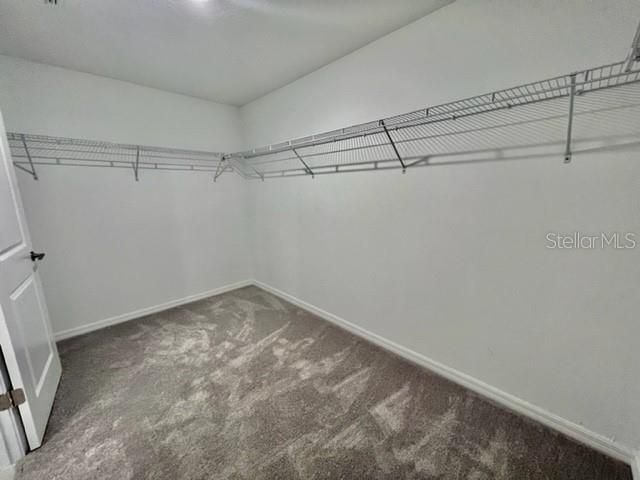 11517 LAVENDER LOOP, Spring Hill, FL 34609