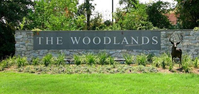 154 W Burberry Circle, The Woodlands, TX 77384