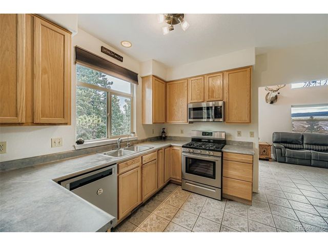 190 Shannon Pl, Divide, CO 80814