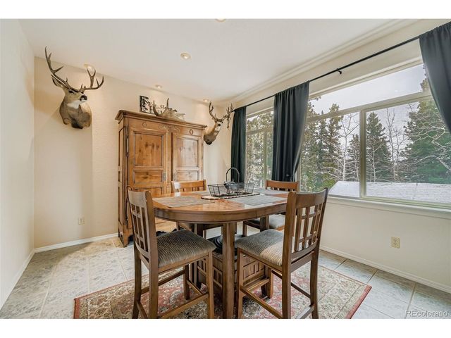 190 Shannon Pl, Divide, CO 80814