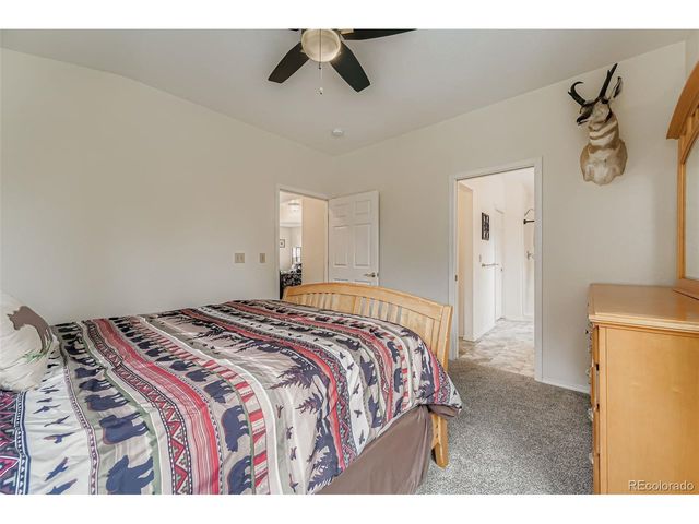 190 Shannon Pl, Divide, CO 80814