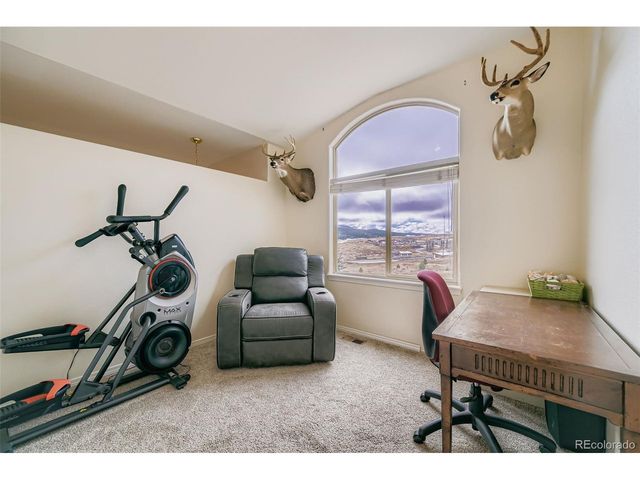 190 Shannon Pl, Divide, CO 80814
