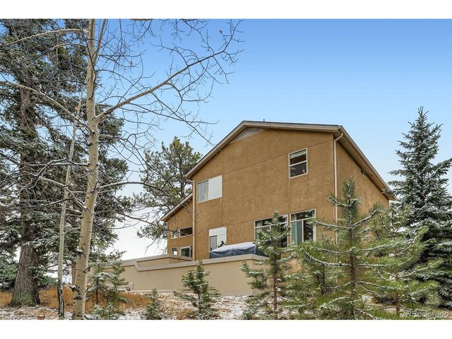 190 Shannon Pl, Divide, CO 80814