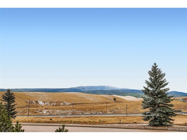 190 Shannon Pl, Divide, CO 80814
